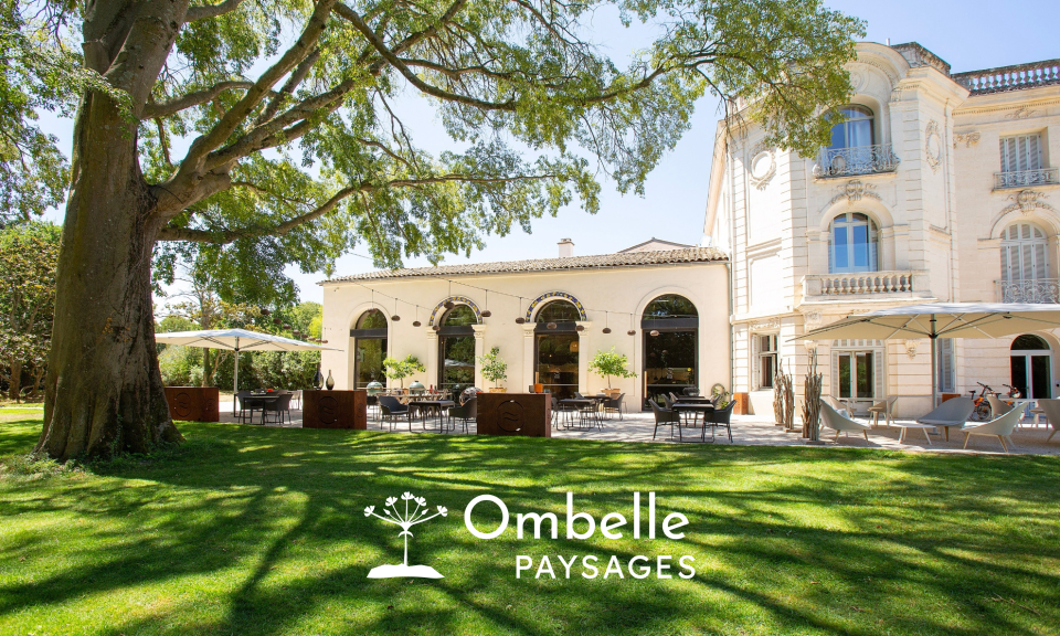 Ombelle Paysages - Entretien